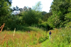 Walsingham gardens Norfolk