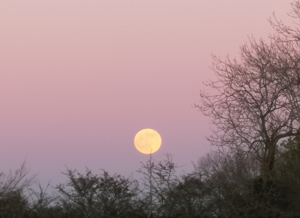 Suffolk moon Xtrahead