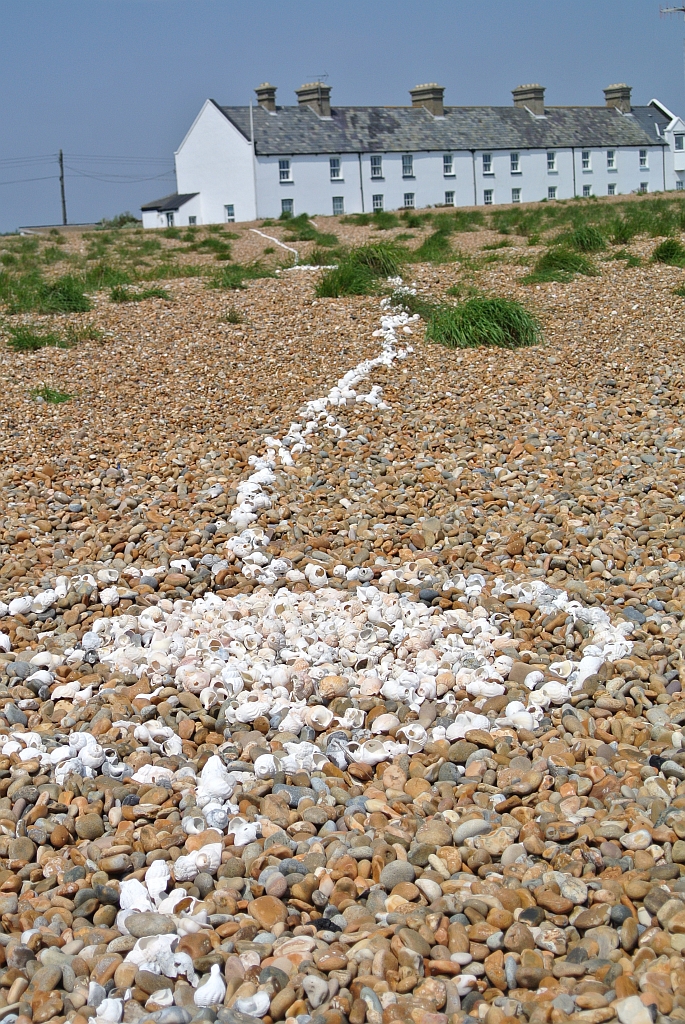 Shell Line at Shingle Street Suffolk by Xtrahead