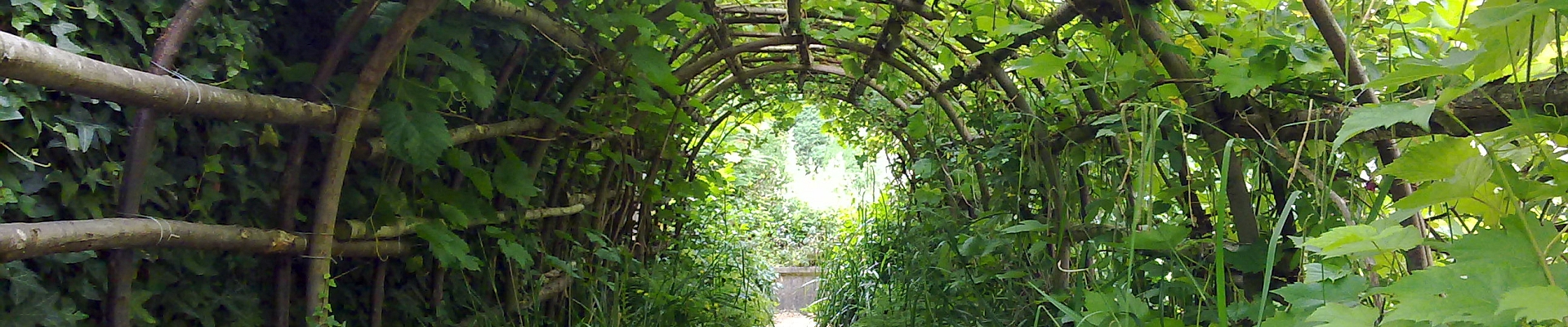 leafy garden tunnel by Xtrahead photography